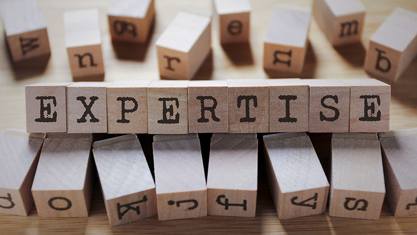 expertise I Lead consulting